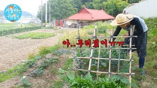 Country Story of City Couple EP.99