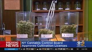 New York, New Jersey take steps forward with recreational marijuana sales
