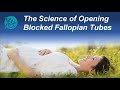 The Science of Opening Blocked Fallopian Tubes