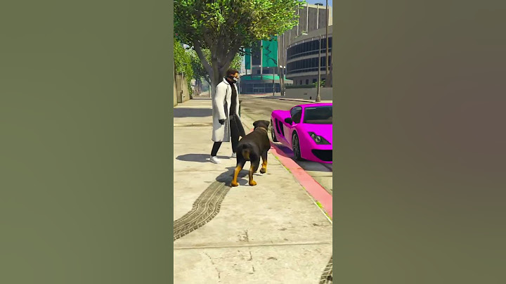 ОСТАВИЛ СОБАКУ РАДИ ДЕВУШКИ В GTA 5 RP ! #shorts #gta #gta5