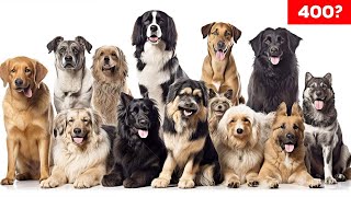 How Many Dog Breeds Are There?