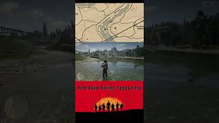 Stelle Tonikum her / Sammle Amerikanischen Ginseng / Häute Enten #ps4 #reddeadonline Tagesziele