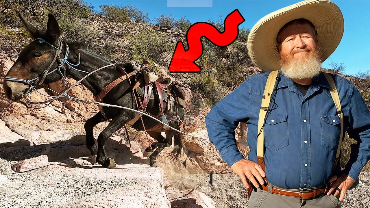 I went on a Journey into some desolate desert Canyons