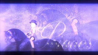 sso - All of your pieces -