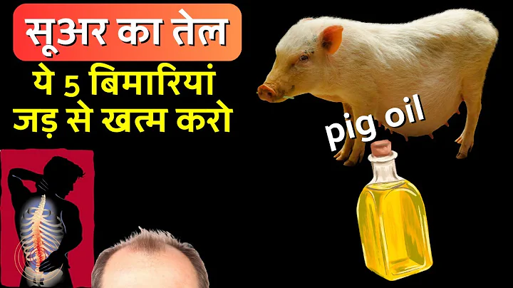 सूअर के तेल से ये बीमारियाँ खत्म हो जाएँगी