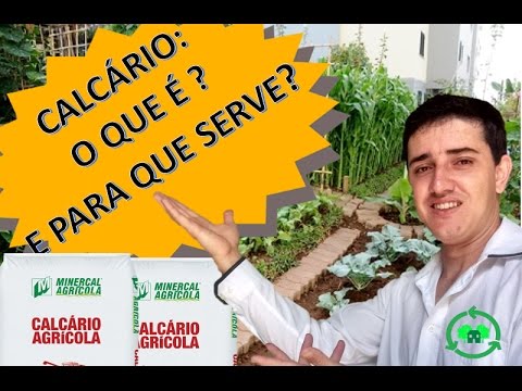 Vídeo: O Que é Calcário