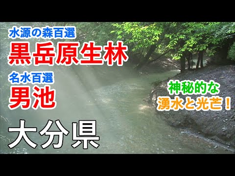 The virgin forest of Mt.Kurodake & Oike Pond ( Oita, Japan )