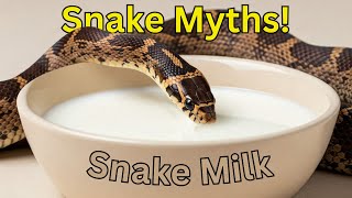 STOP Believing These 9 SNAKE Myths That Are Totally WRONG
