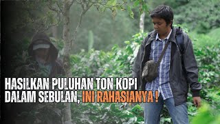 Wanoja Kopi: How to Maximize Profits from Coffee Cultivation!