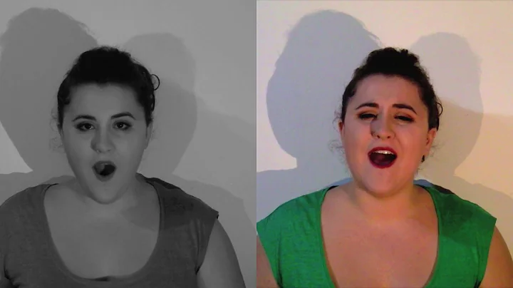 Flashlight - Jessie J ( A capella cover - Eva Phel...