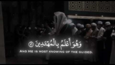 ﴿إِنَّكَ لَا تَهْدِي مَنْ أَحْبَبْتَ﴾ – سورة القصص