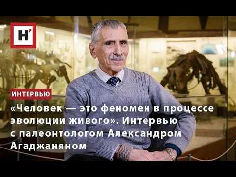 «Человек — это феномен в процессе эволюции живого». Интервью с палеонтологом Александром Агаджаняном