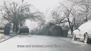 A look at the damage left behind after severe storms roll through Metro Detroit
