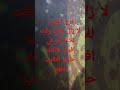 برج الحوت12 1 2022 برج الحوت12 1 2022