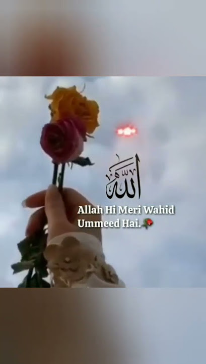 Hope Nasheed #nasheed#shorts #relaxing#islamic status