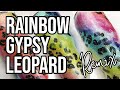 Rainbow Glitter Leopard Tumbler Tutorial