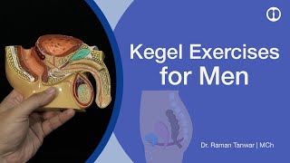 Kegel Exercises for Men: When to do and How to do it right ?  केगेल: कब करें और कैसे ?