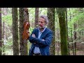 Giuliano Carmignola - Bach: Sonatas & Partitas (Teaser)