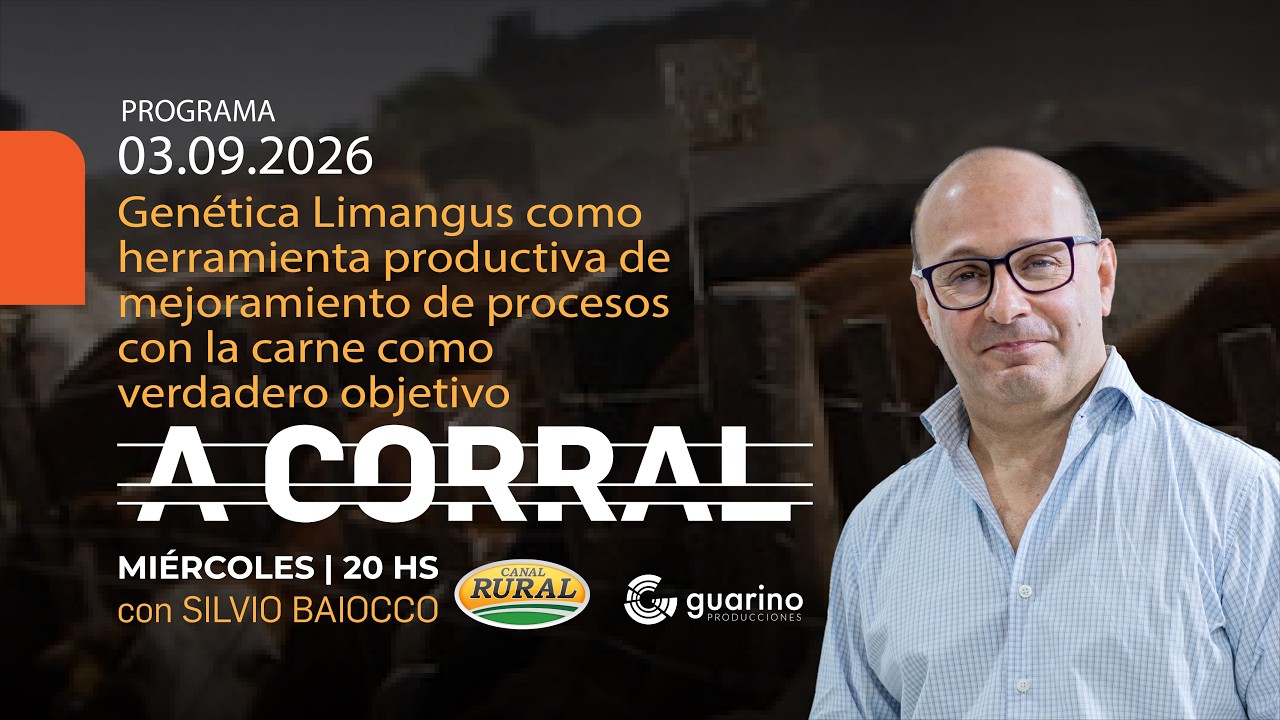 Genética Limangus como herramienta  de mejoramiento de procesos con carne como verdadero objetivo