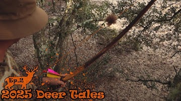 Hunting Feed Trees