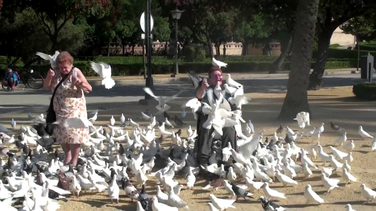 Nadie es dueño de nadie camera iphone 8 plus apk