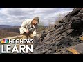 Fossil Hunting and Paleontology