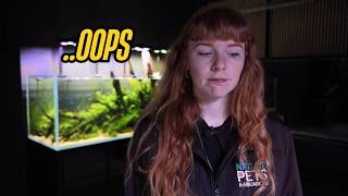 You Can Kill Your Fish Without Knowing It: 10 Beginner Mistakes to Avoid