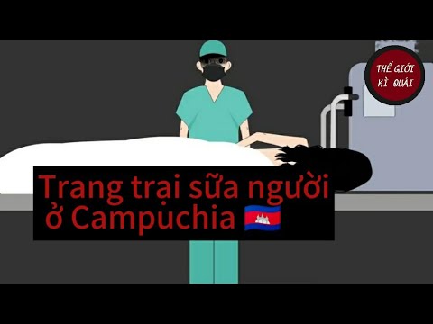 (Full) Trang trại sữa người ở Campuchia | Thế Giới Kì Quái