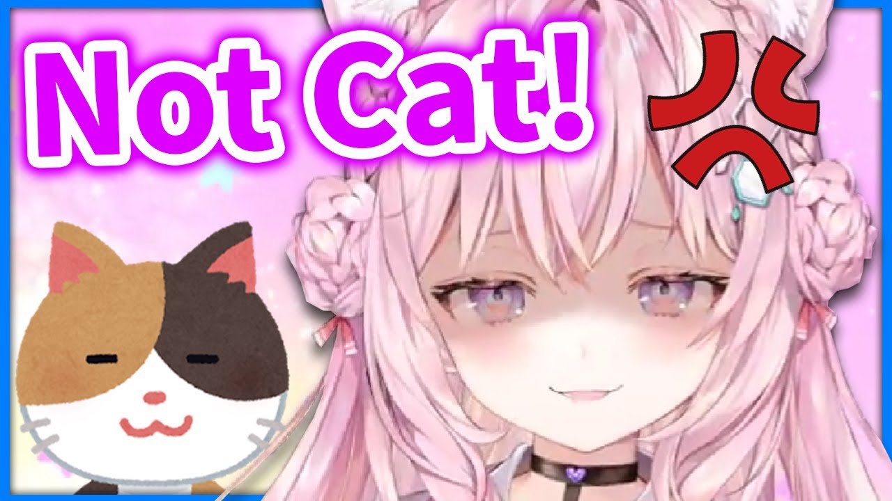 NOT A CAT OK?? 【Hakui Koyori / Hololive】
