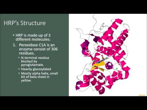 Видео: Пероксидазын бүтээгдэхүүнүүд юу вэ?