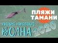 Пляж поселка Волна 2020! Дельфины у берега!