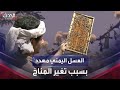 حاملا خلايا النحل لماذا يجوب هذا النحال اليمني البلاد بحثا عن شجرة السدر حاملا خلايا النحل لماذا يجوب هذا النحال اليمني البلاد بحثا عن شجرة السدر