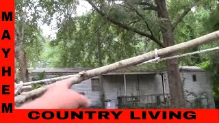 Pulling down trees with rope and a lever