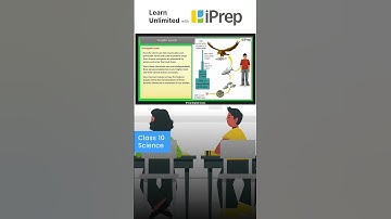 Biomagnification | Our Environment | Science | Class 10 | iPrep #iprep #science