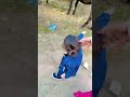 Vah tamatar bade majedar