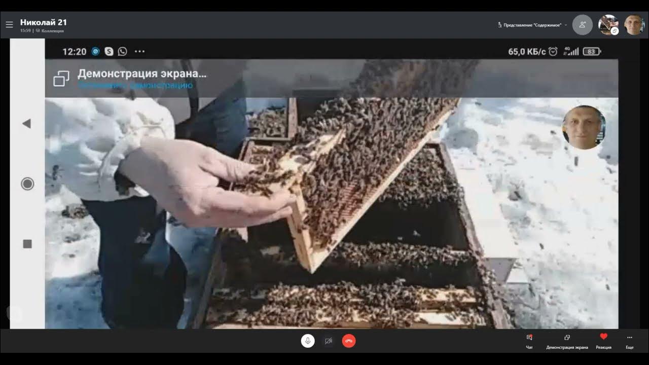 Ревизия 2021. Сокращение семей пчел весной гопко видео. Понос у пчел. Менеджер эко чата. Что проверяет роспотребнадзор на предприятии.