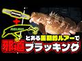 【根掛かり地帯も怖くない】NEWルアー「レリッシュ」だから釣れる！根魚狙いの邪道プラッキングとは？
