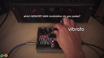 EHX Deluxe Memory Man XO - modulation