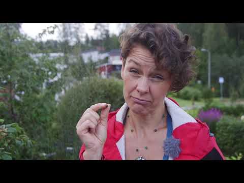 Video: Vinkkejä urbaanin patiopuutarhan luomiseen