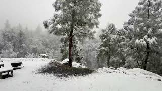 Snow in Oakhurst Ca  3-6-25
