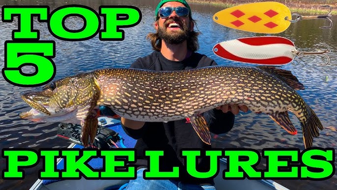 How to rig a PIKE SOFTBAIT (Shallow, Weedless, Jighead & Flexhead