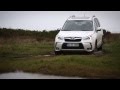 Subaru Forester XT - время видеть, время чувствовать, время восхищать.