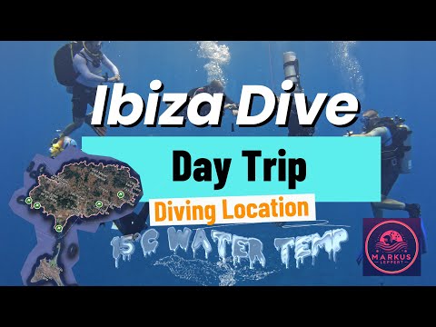 Winter Diving IBIZA! 🌊❄️ Exploring 16°C Waters in January 2025