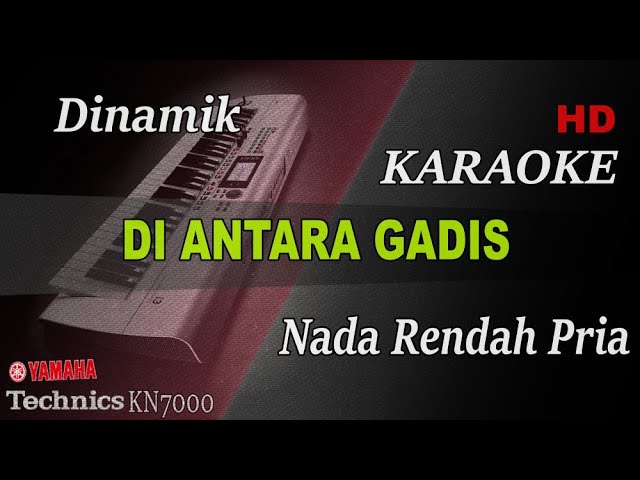 DINAMIK - DI ANTARA GADIS ( NADA RENDAH PRIA ) || KARAOKE class=