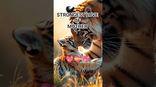 Powerful & Protective:The Tiger Mother and Her Cub #trending #wildlife