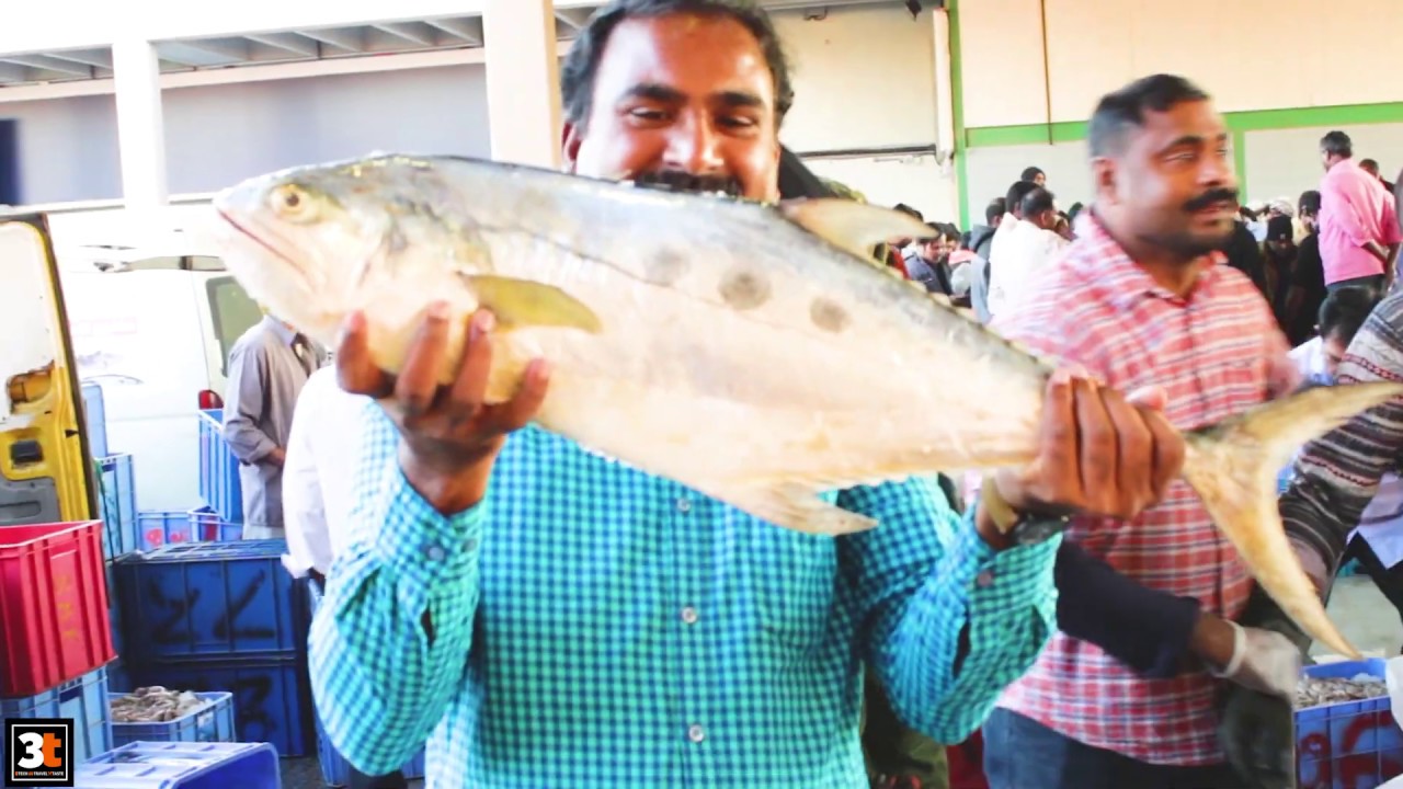 Fish market in Saudi Arabia / Jubail Fish Market / channel3t YouTube