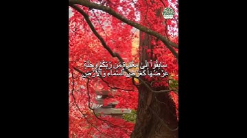 Surah Al-Hadid سوره الحديد    #nuralsalam#miqat01#mehmet #المصحف  #القارئ #اكسبلور