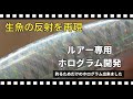 【生魚の反射を再現】ルアー専用ホログラム【DNA80開発プロジェクト前編】