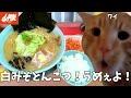 【山岡家】新作の濃厚白みそとんこつラーメン食うぞ!紅ショウガとライスも頼んで腹パンになれ!!という話【クセになる味】#猫ミーム #猫マニ