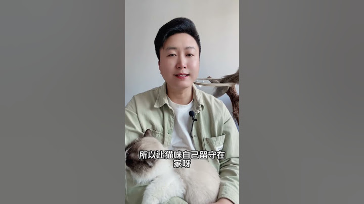 五一回家，猫咪怎么办？ 养猫人 养猫知识 新手养猫 养猫经验分享 猫咪日常